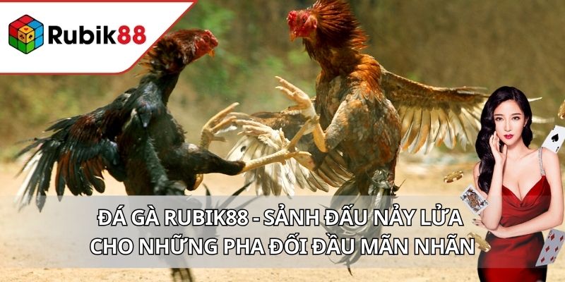 Đá Gà RUBIK88