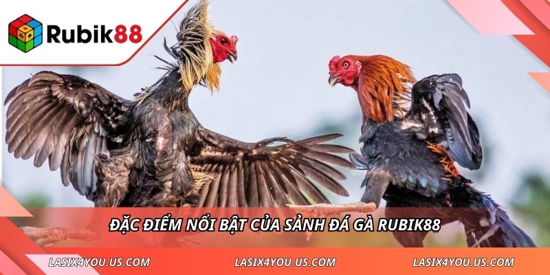 Đặc điểm nổi bật của sảnh đá gà RUBIK88