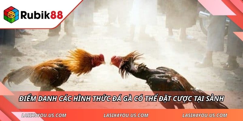Điểm danh các hình thức đá gà có thể đặt cược tại sảnh
